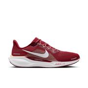 Florida State Nike Zoom Pegasus 41 Shoes